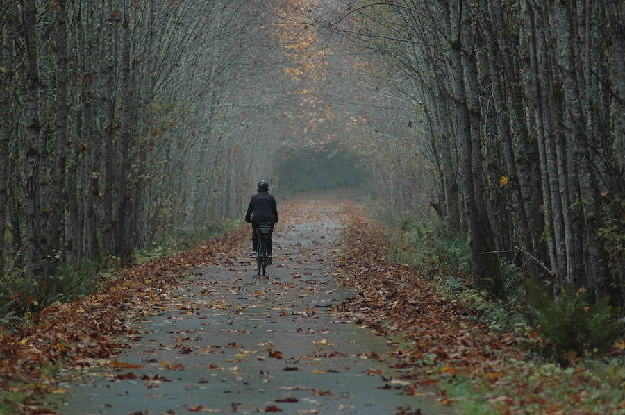 Washington's Chehalis Western Trail | Photo by TrailLink user roycben