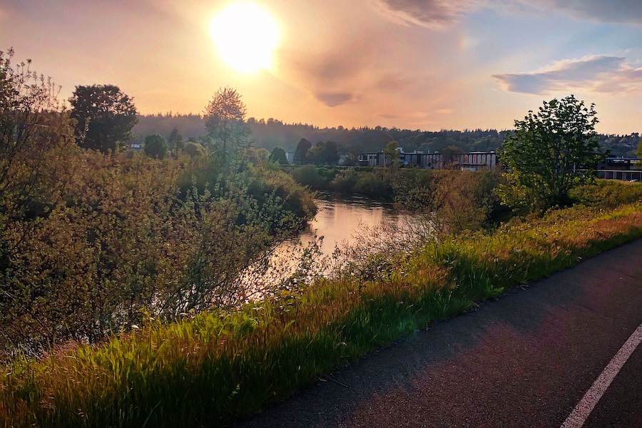 Washington's Green River Trail | Photo by TrailLink user mlaun