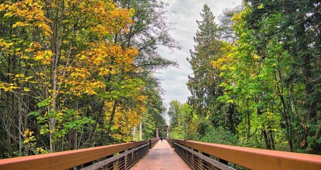 Washington's Olympic Discovery Trail | Photo by TrailLink user stevelee73