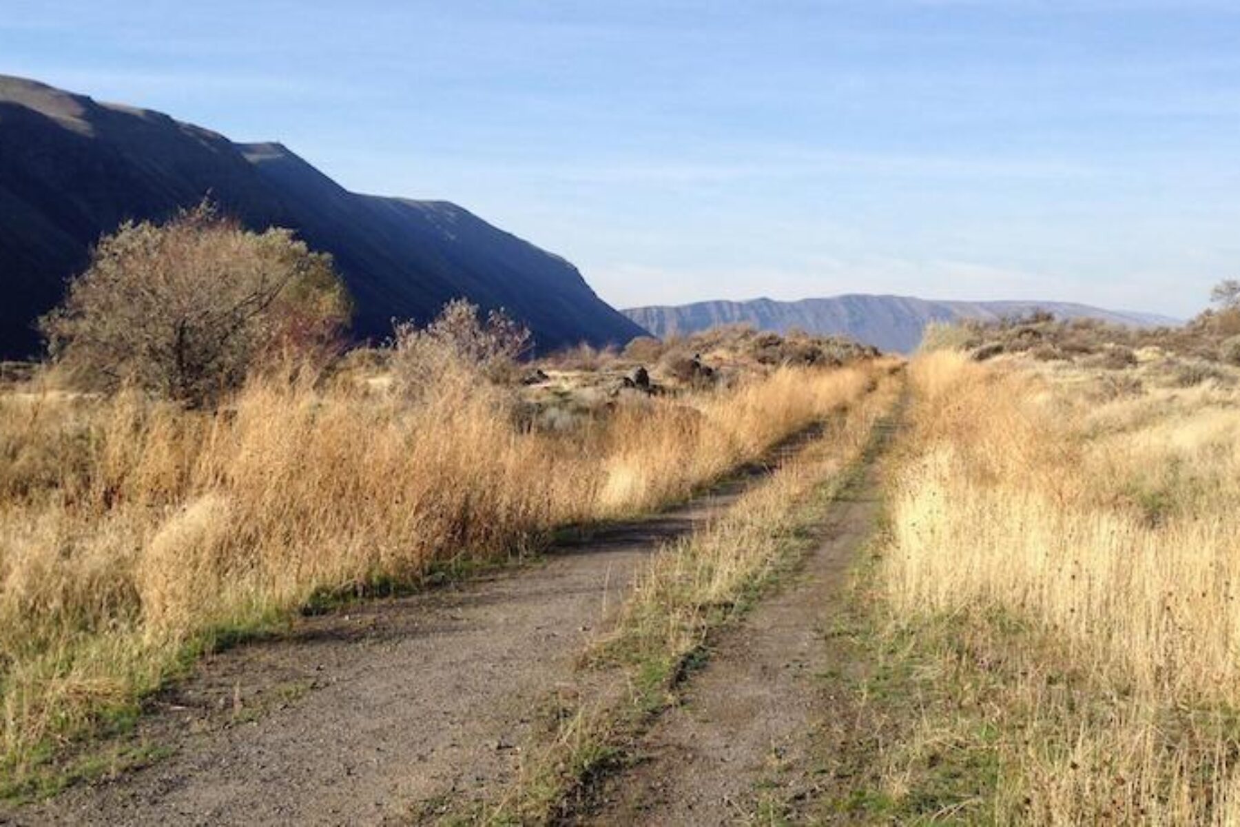 Washington's Palouse to Cascades State Park Trail in part of the Great American Rail-Trail | Photo by TrailLink user scfroehlich