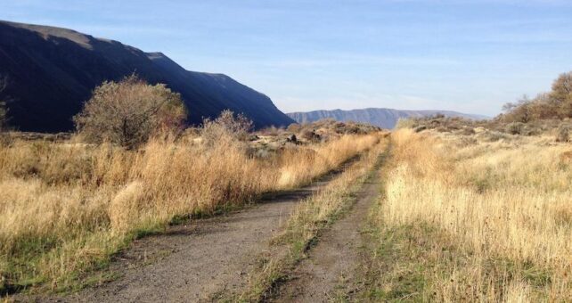 Washington's Palouse to Cascades State Park Trail in part of the Great American Rail-Trail | Photo by TrailLink user scfroehlich