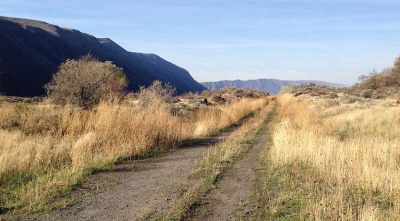 Washington's Palouse to Cascades State Park Trail in part of the Great American Rail-Trail | Photo by TrailLink user scfroehlich