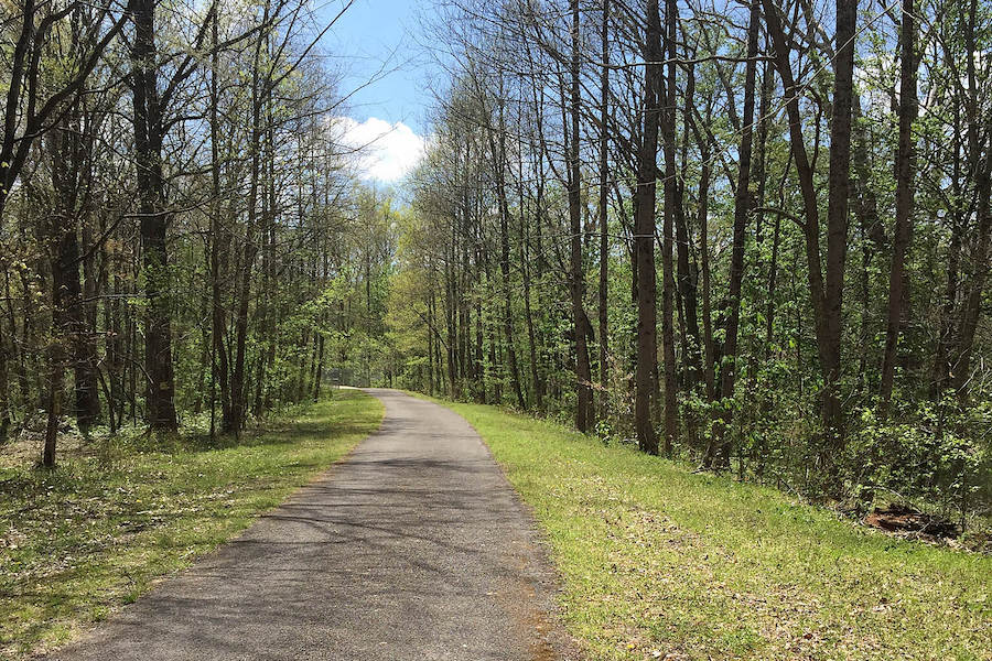 West Fork River Trail | Photo by TrailLink user vdeal