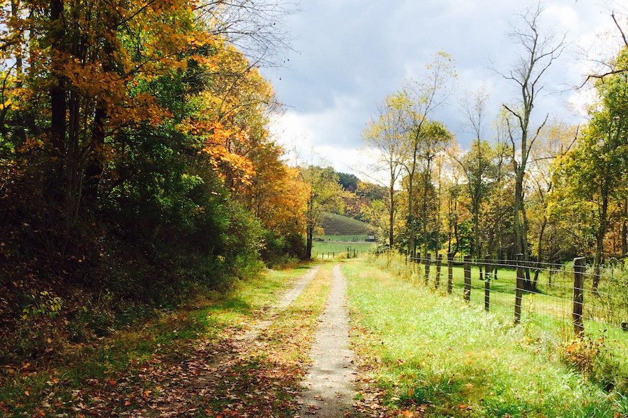 West Virginia's Allegheny Highlands Trail | Photo by Karen Carper, courtesy Highlands Trail Foundation