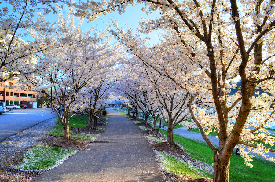 West Virginia's Caperton Trail, part of the Mon River Trail System | Photo by James Riel