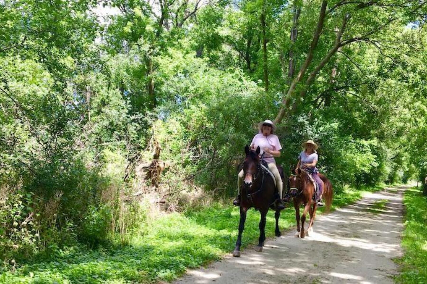 White River State Trail | Photo by TrailLink user lkgatu