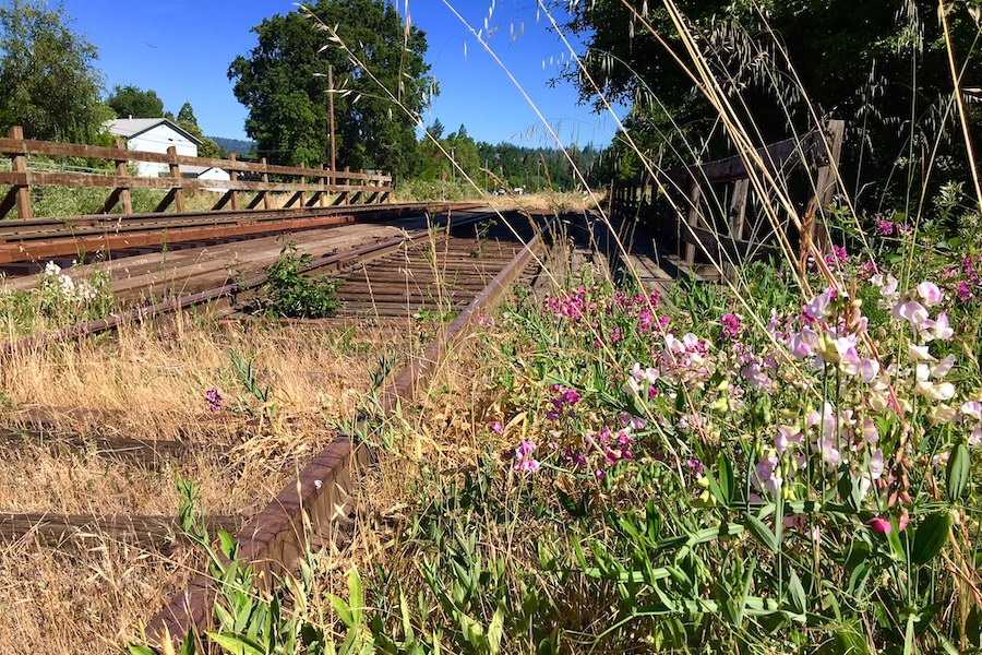 Willits rail-with-trail | Photo by Laura Cohen