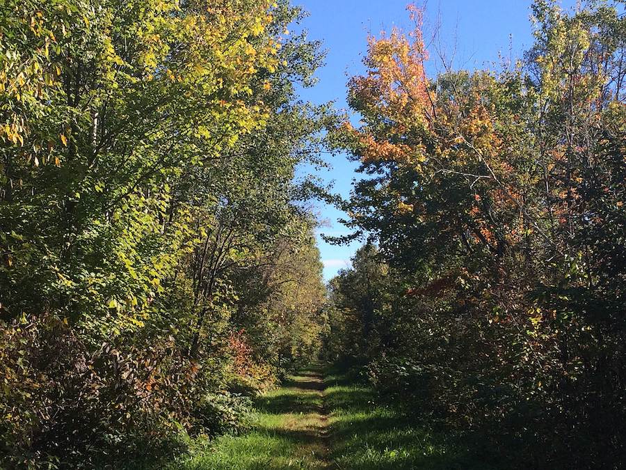Wisconsin's Tuscobia State Trail | Photo by TrailLink user Amy Bayer