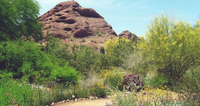 Arizona's Prescott Peavine National Recreation Trail | Photo by TrailLink user redrock