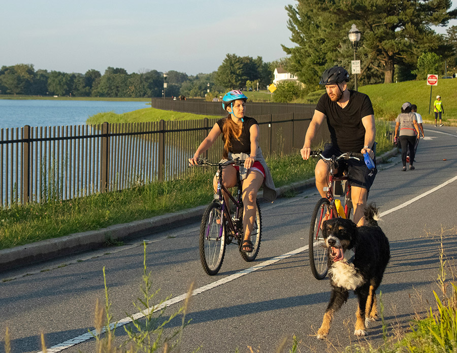 Carroll Park | Photo by Allison Abruscato
