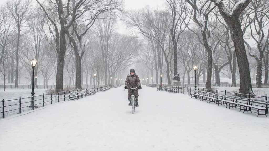 Central Park de Nueva York | Foto de ShutterJack