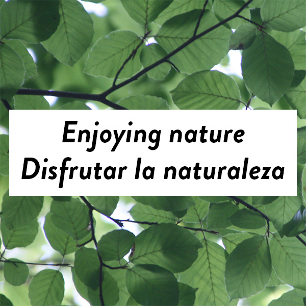 Enjoying Nature - Disfrutar la naturaleza graphic by RTC