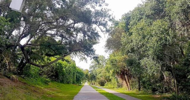 Florida's Fred Marquis Pinellas Trail | Photo by TrailLink user gmquesada