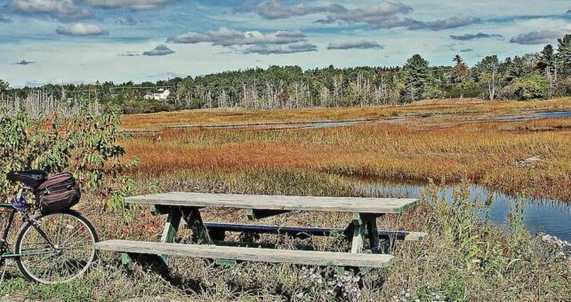 Maine's Down East Sunrise Trail | Photo by TrailLink user sc302