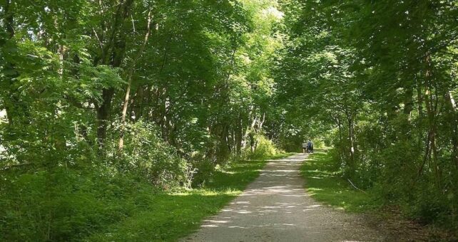 Maryland's Torrey C. Brown Rail Trail | Photo by TrailLink user jmcginnis12