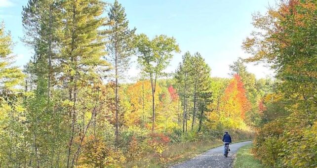Minnesota's Paul Bunyan State Trail | Photo by TrailLink user gladbrook33