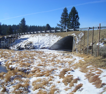 Historic Preservation Highway 89 Underpass - Photo courtesy RTC