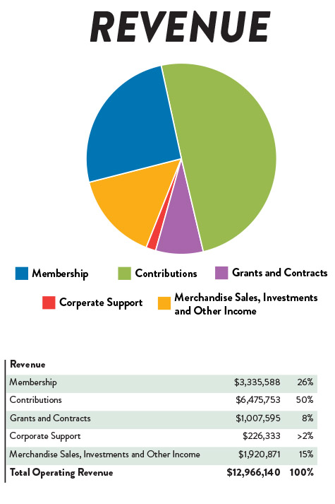 fy23 financials revenue chart