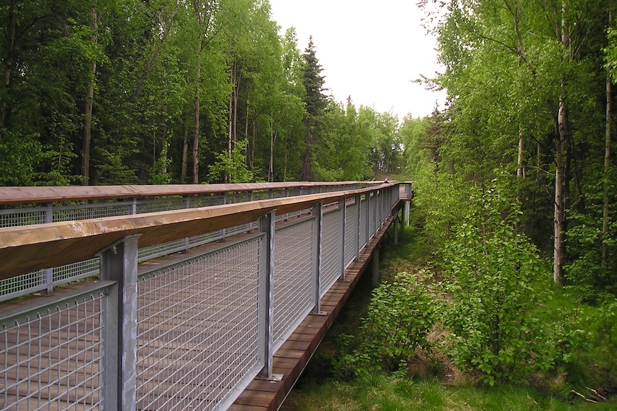 Alaska's Campbell Creek Trail | Photo by Eric Oberg