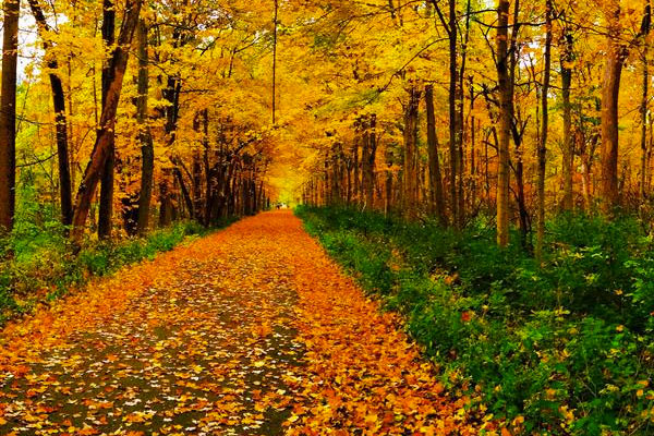 Ohio's Great Miami River Trail | Photo by Ben Kretz