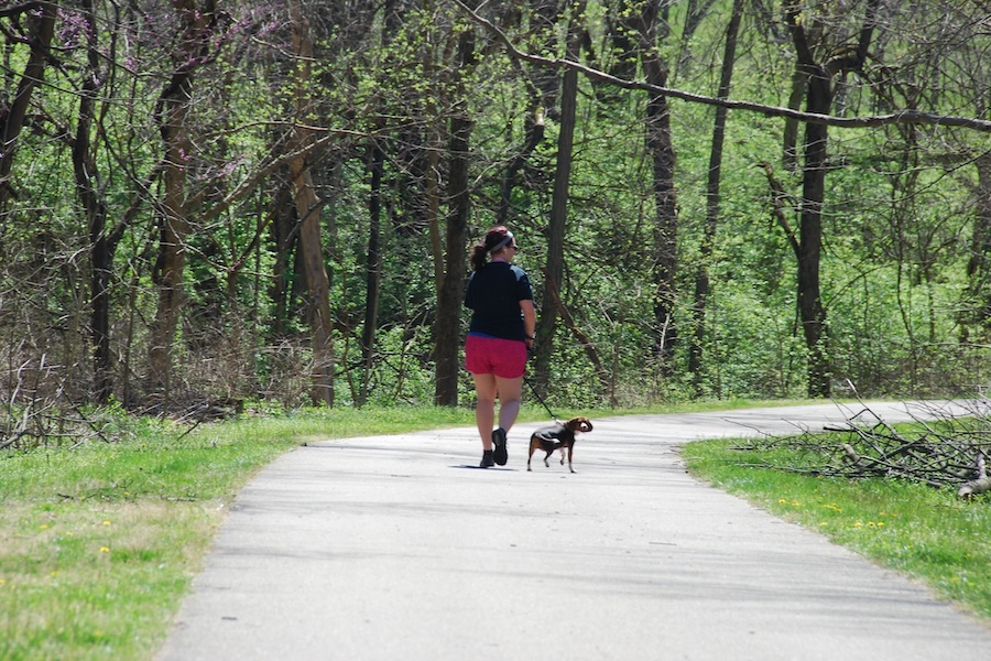 Ohio's Wolf Creek Trail | Photo courtesy Five Rivers MetroParks