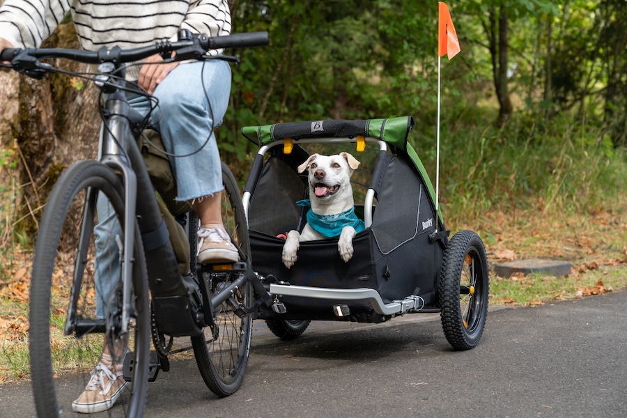 Bicyclist with dog cargo bike | Photo courtesy of Burley