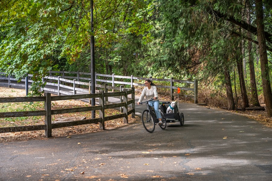 Bicyclist with dog cargo bike | Photo courtesy of Burley