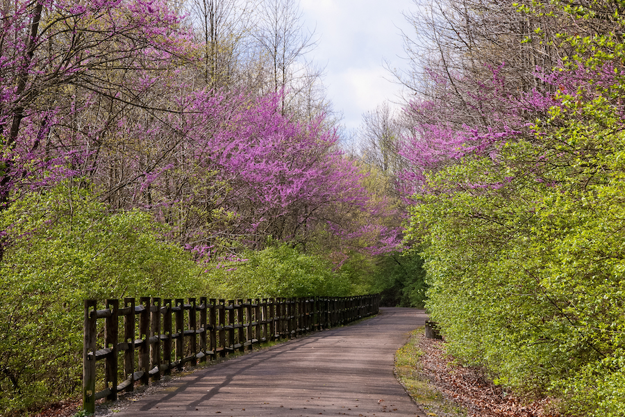 Stretching nearly 62 miles, the Cardinal Greenway is Indiana’s longest rail-trail. Along its length, the pathway offers countryside views, bridges over picturesque waterways and two restored depots. Photo by Jane Holman, courtesy Waynet, Inc.