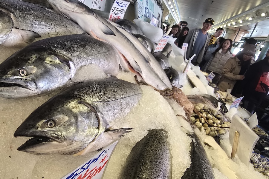 Fish at Seattle, Washington's Pike Place Fish Market | Photo by Abbie Schollmeier