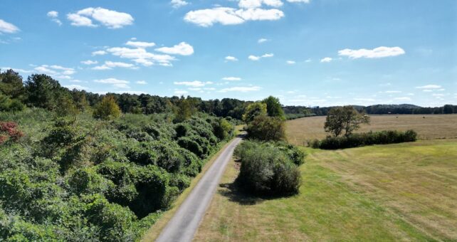 Drone photo of Chief Ladiga Trail in Jacksonville, Alabama | Photo courtesy Ben Nunnally, City of Jacksonville