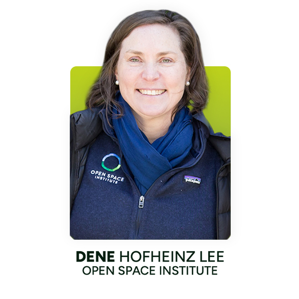 Dene Hofheinz Lee, Open Space Institute