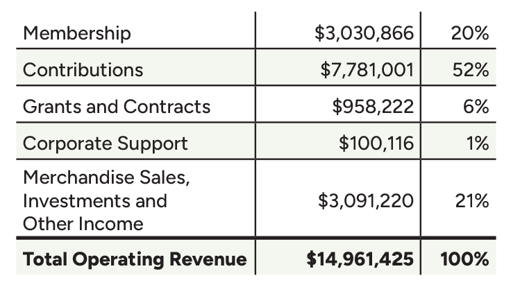 Fiscal Year 2025 Revenue table