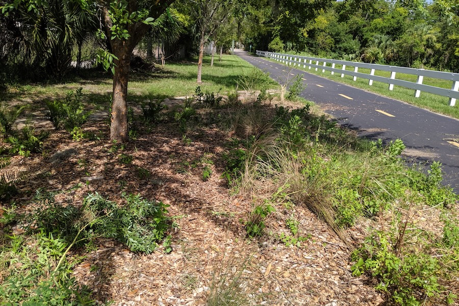 Jacksonville's S-Line Rail Trail | Photo courtesy Groundwork Jacksonville