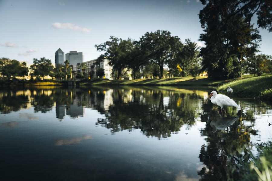 LaVilla Pond along a segment of Florida's Emerald Trail | Photo courtesy Groundwork Jacksonville