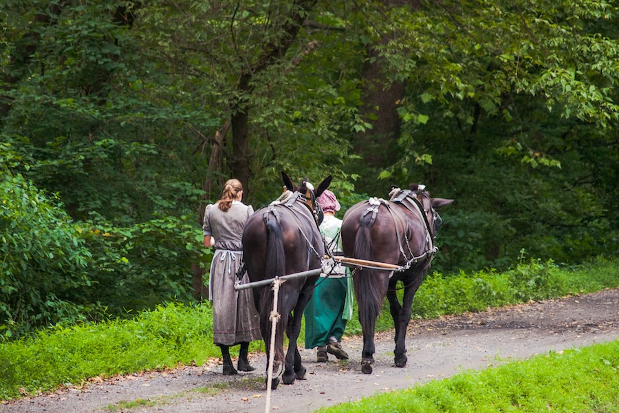 Mules pull the Josiah White II canal boat along the D&L Trail in Hugh Moore Park. | Photo by Dave Reese