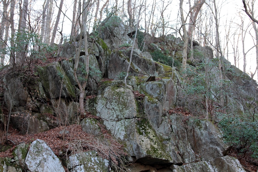 Pulpit rock in Rock Creek Park| Photo by Flickr user Sam Sheline, courtesy of NatureServe, Public Domain