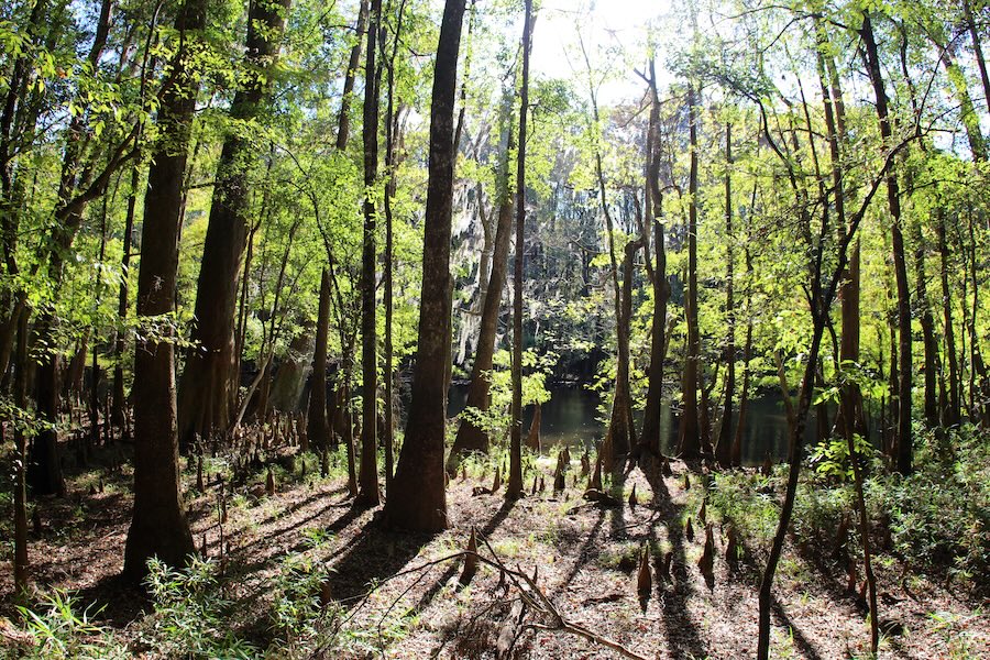 Weston Lake | Photo by Flickr user David Fulmer | CC BY 2.0-Generic