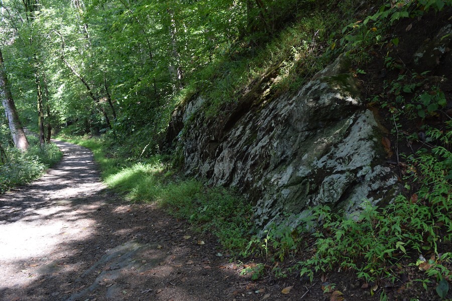 Wissahickon Formation | Photo by Thomas Vinci, courtesy NPS