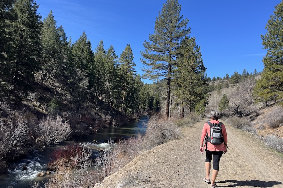 Walker on California's Bizz Johnson Trail | Photo by Cindy Barks