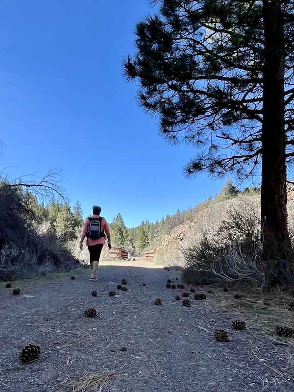 Walker on California's Bizz Johnson Trail | Photo by Cindy Barks