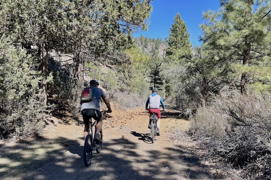 Bicyclists on California's Bizz Johnson Trail | Photo by Cindy Barks