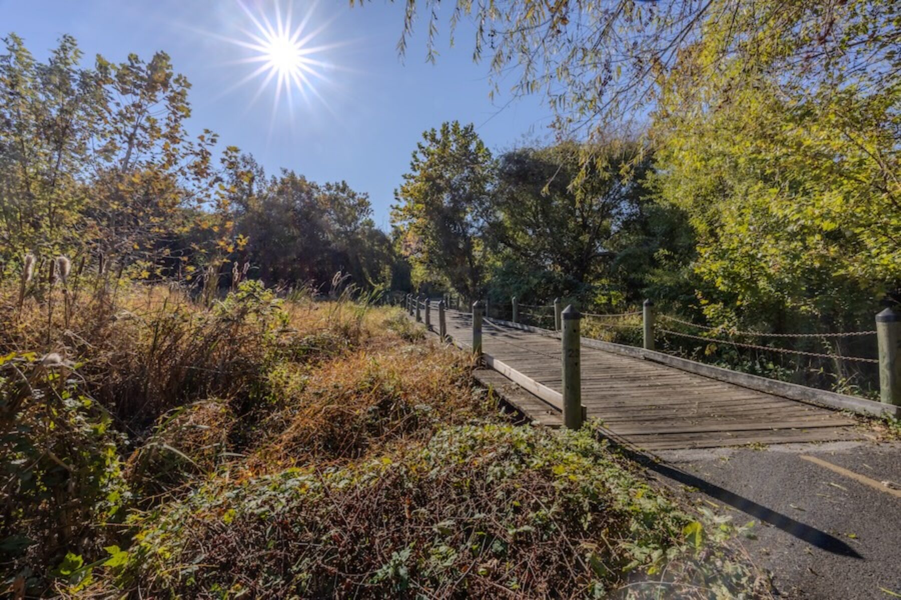 Parks and wetlands along the Mount Vernon Trail | Photo by Asa Photography, courtesy Friends of the Mount Vernon Trail