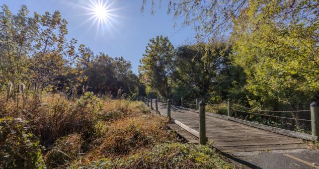 Parks and wetlands along the Mount Vernon Trail | Photo by Asa Photography, courtesy Friends of the Mount Vernon Trail