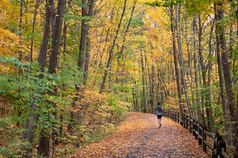 South County Trailway | Photo courtesy Flickr | Dan DeLuca | CC BY 2.0-Generic