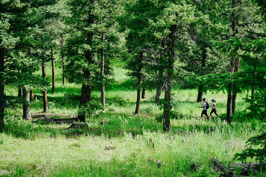 Trail walk with friends in Genesee Mountain Park near Evergreen, Colorado | Photo by Ben Siebrase