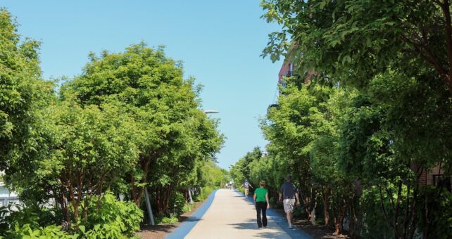 Bloomingdale Trail through Chicago's Wicker Park neighborhood | Photo by Luke Scaletta, Wicker Park Bucktown Chamber of Commerce