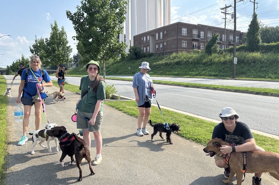 SPCA volunteer walk on the Downtown Greenway | Photo courtesy Chelsea Phipps